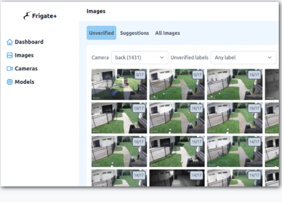 Detection review dashboard